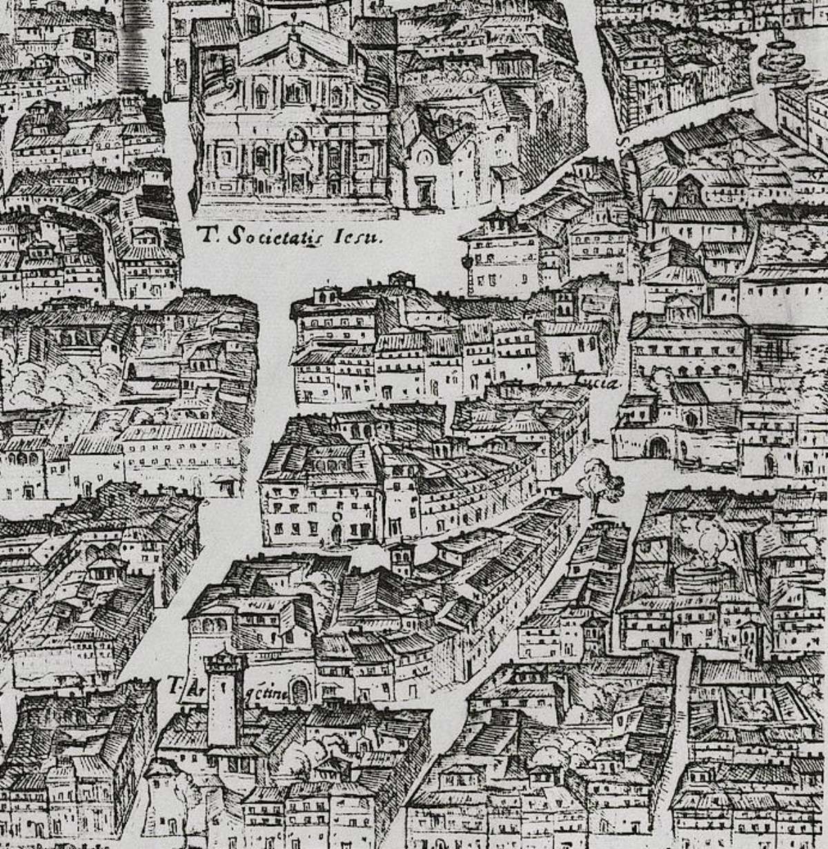 Abb. 446-NicoladiCalcario_004.tiff